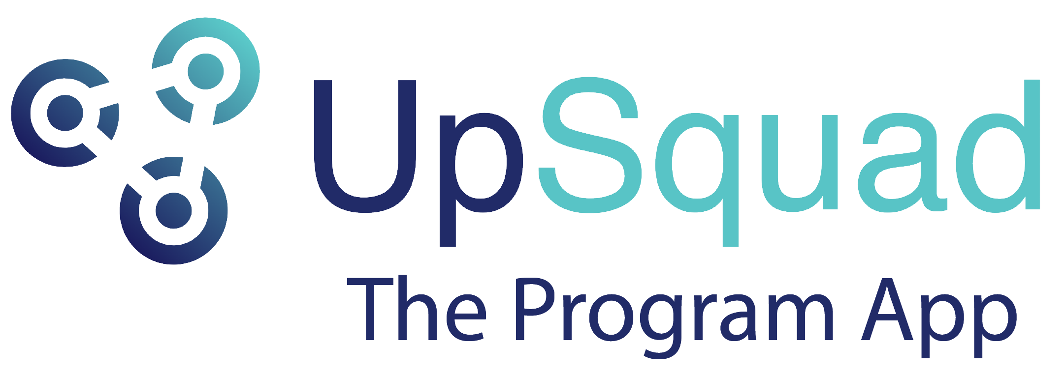 what-is-a-program-app